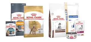 Royal Canin variasjon av fôrprodukter